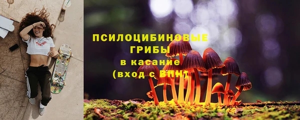 дурь Алексеевка