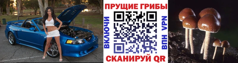 Галлюциногенные грибы ЛСД Волгоград