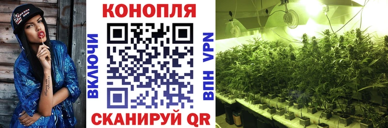 Конопля SATIVA & INDICA  Волгоград 